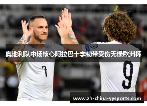 奥地利队中场核心阿拉巴十字韧带受伤无缘欧洲杯